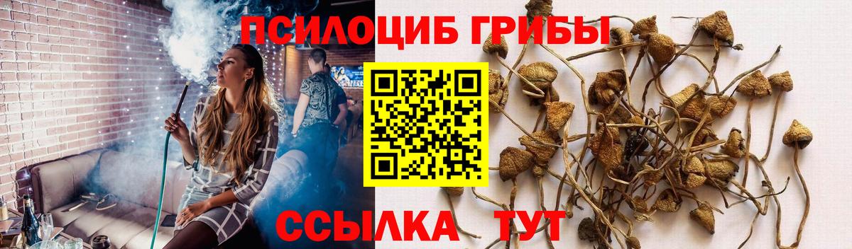 Псилоцибиновые грибы MAGIC MUSHROOMS Сосновоборск