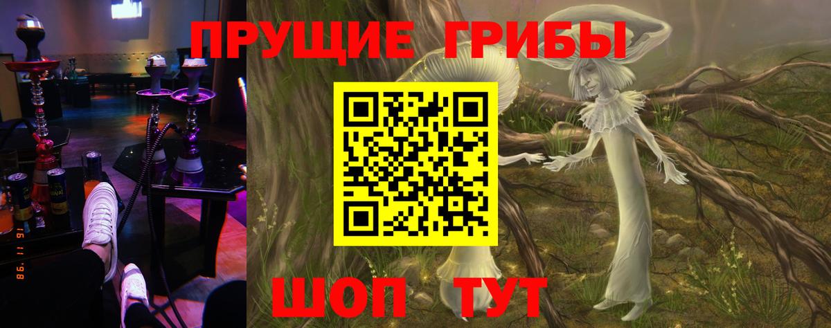 Галлюциногенные грибы Magic Shrooms  Вход с VPN  закладки  Сосновоборск 